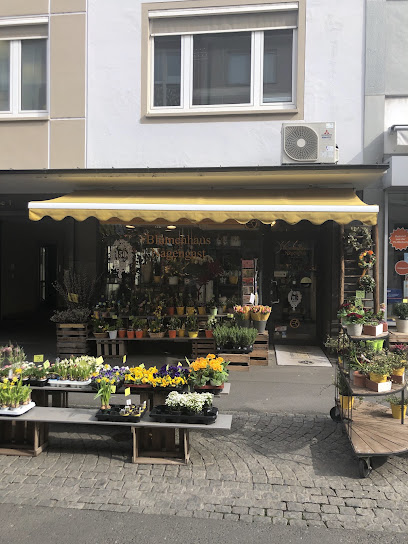 Blumenhaus Nagengast Inh. Karin Neyderek