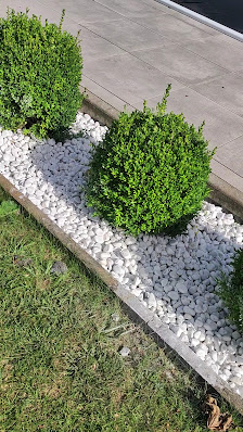 Daniel Rosca Garten & Landschaftsbau