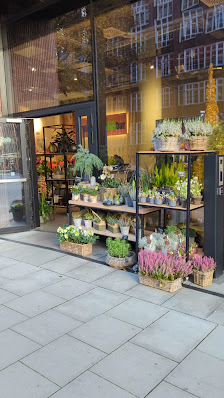 dieStraussbar - Florale Konzepte