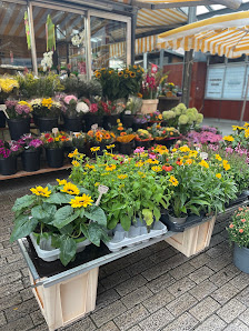 Blumen Schmelzeisen