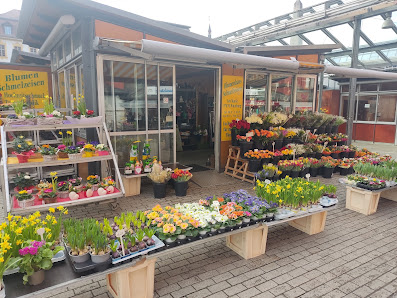 Blumen Schmelzeisen