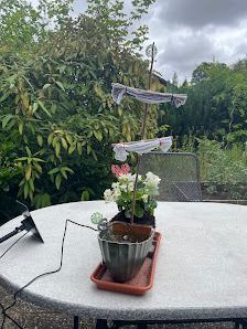 Barbara's Blumenstube