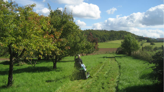 PlantaPhant GmbH