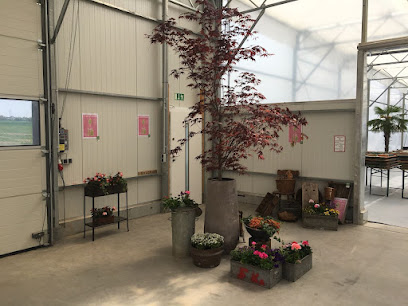 Wai Honu Garten- und Landschaftbau & Bio Design Poolbau