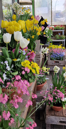 Friedhofsgärtnerei Cornils
