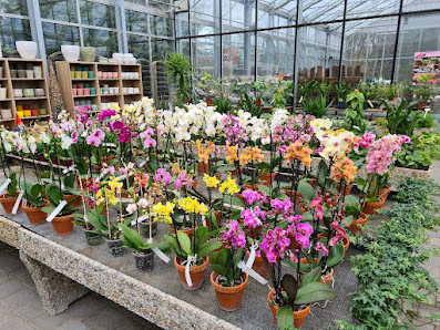 Gärtnerei Diehm - Blumenladen Dachau