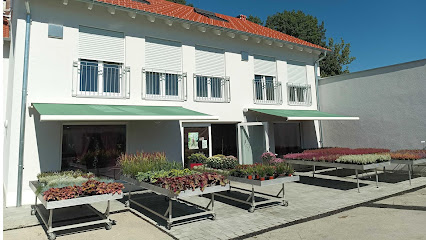Blumenladen Dachau | Gärtnerei Roth