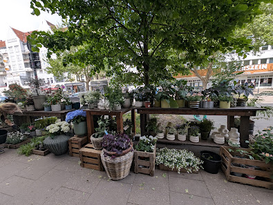 Andrade Meisterfloristik Osterstraße