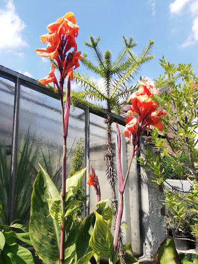 Gartencenter