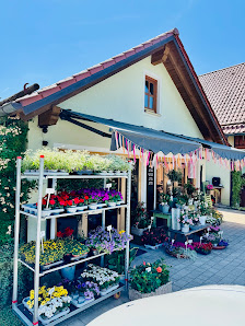 Floristikstube-il fiore