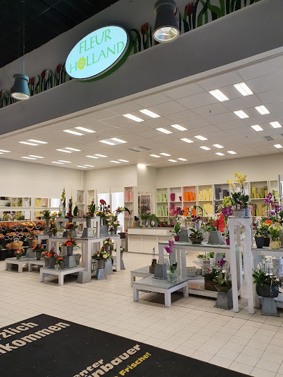 Fleur Holland Blumen