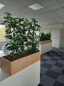 Blumen-Krauß, Inh. Alexander Krauß
