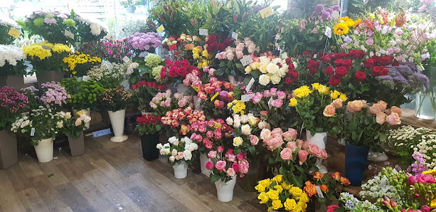 BERLINERBLUMEN.COM