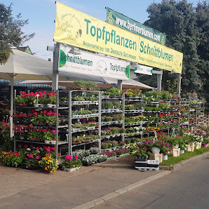 BERLINERBLUMEN.COM
