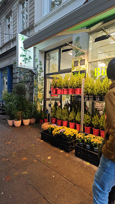 Kögel Pflanzenmarkt e.K.