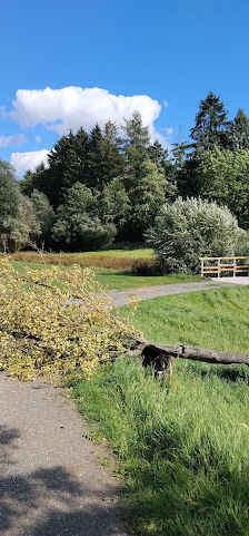 Gärtnerei Lein