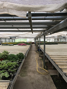 Rupprecht Blumen Gärtnerei