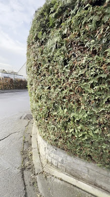 Egzon Garten Landschaftsbau 🌳