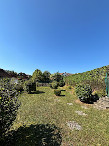 WS-Service - Willaschek & Scheffczyk´s Gartenservice GbR