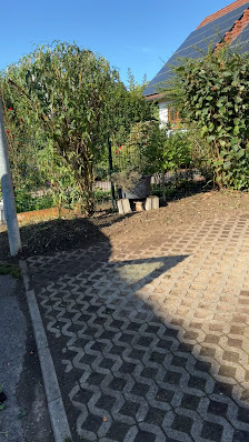 WS-Service - Willaschek & Scheffczyk´s Gartenservice GbR