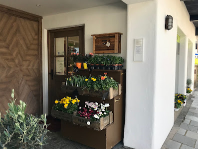 Blumen Oase