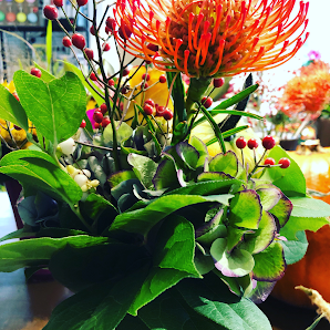 Blumen Oase