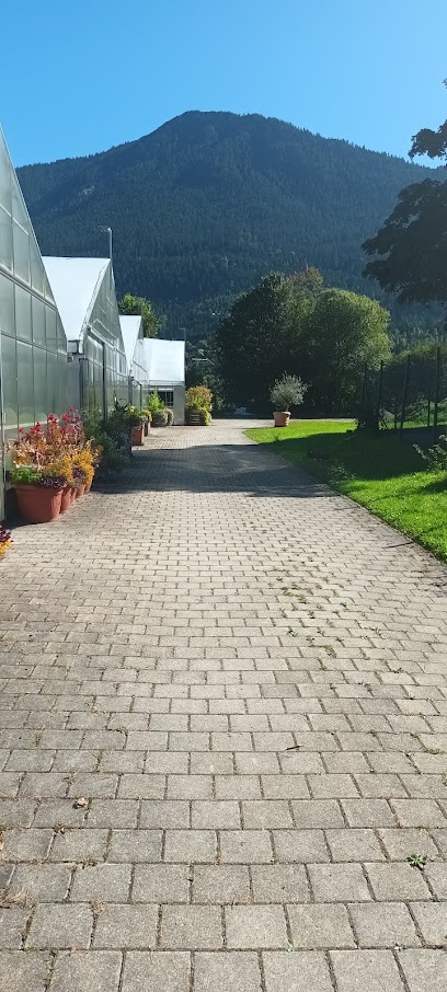 Gemeinde-Gärtnerei