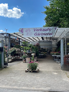 Blumen Tomfort Verkaufsgärtnerei Pflanzen-Überwinterunsgservice