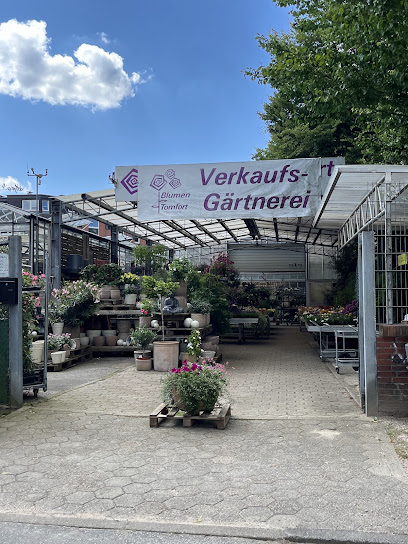 Blumen Tomfort Verkaufsgärtnerei Pflanzen-Überwinterunsgservice
