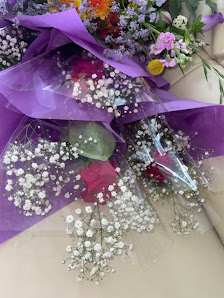 Blumen & Pflanzen Le