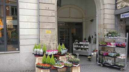 Mona's Blumenladen Mohrenstr. 32