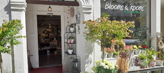 Blooms & Rooms - Floristik und Wohnen