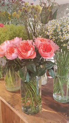 Blooms & Rooms - Floristik und Wohnen