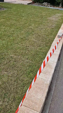Gartenzwillinge
