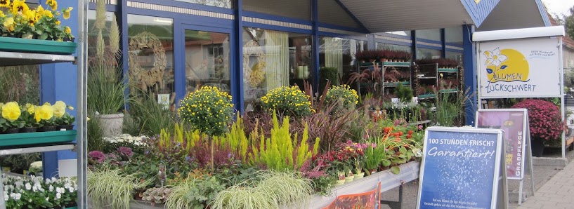 Blumen Zuckschwert