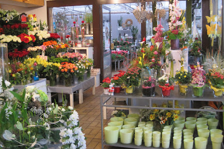 Blumen Zuckschwert