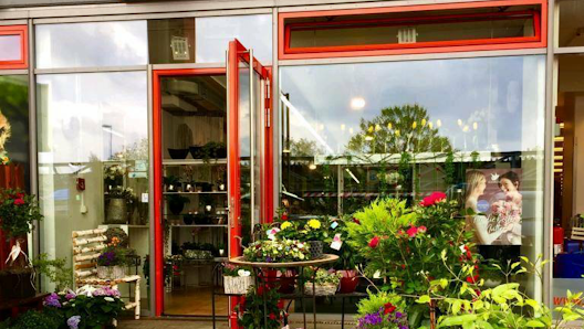 Schick Blumen & Floristik
