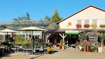 Blumen Hofmann