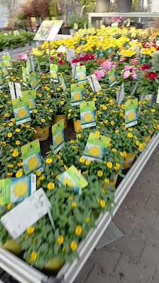 Dehner Garten-Center