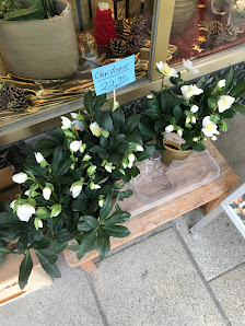 Blumen Catering Passau UG