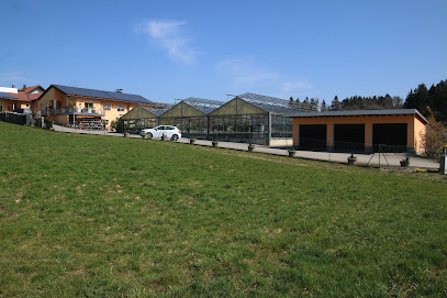 Gärtnerei Trinkaus