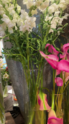 Grüne Flora GbR