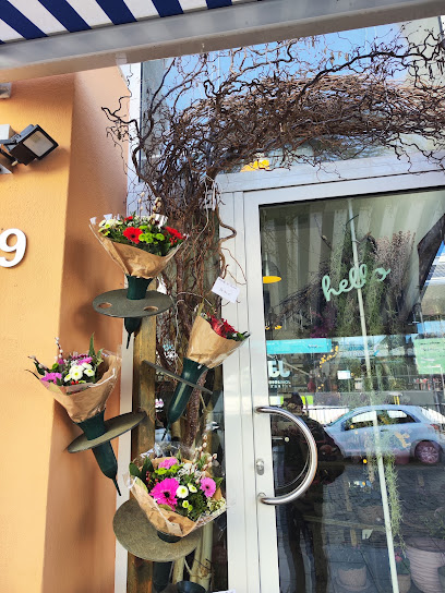 Blumenwelt Breedijk GmbH