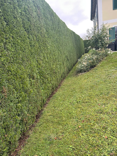 Gartenservice ILIR