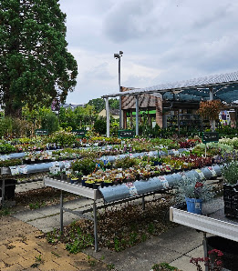 Donaumarkt Gartencenter Gartenplanung GmbH