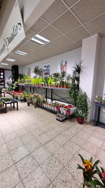 Holzner Blumen-Paradies