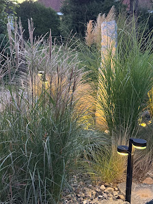 Kutter Gartenbau GmbH & Co. KG