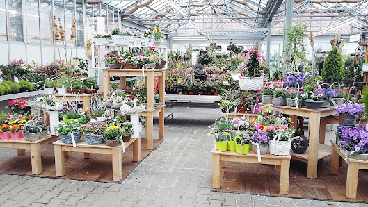Dehner Garten-Center