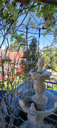 Dehner Garten-Center