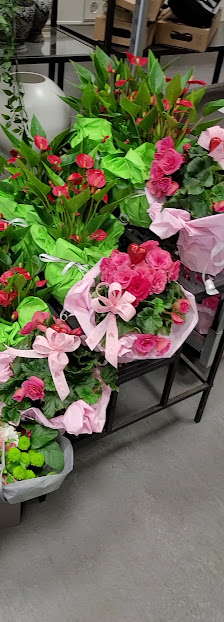 Blumenhaus Stötzner